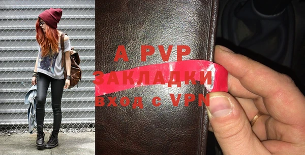индика Верея