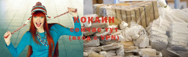 индика Верея