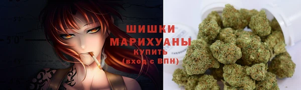 индика Верея