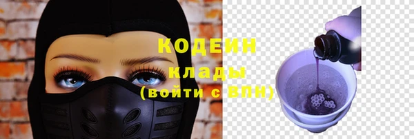 индика Верея