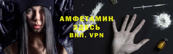 индика Верея