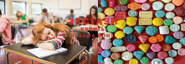 индика Верея