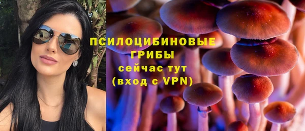 индика Верея