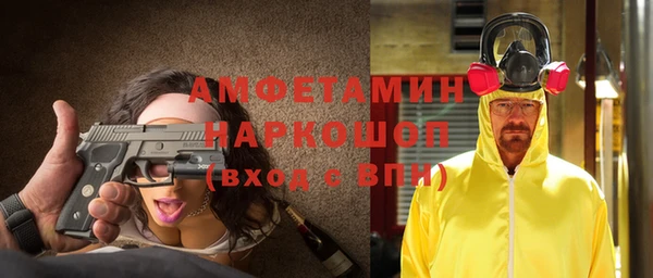 индика Верея