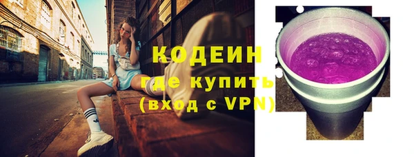 индика Верея