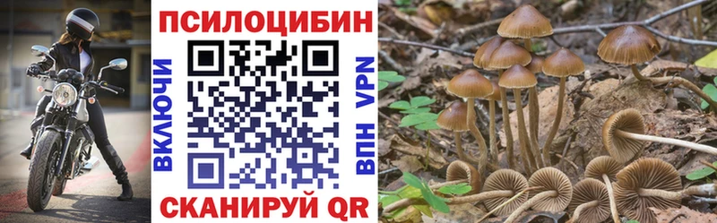 где купить наркотик  Кочубеевское  гидра ONION  Галлюциногенные грибы прущие грибы 
